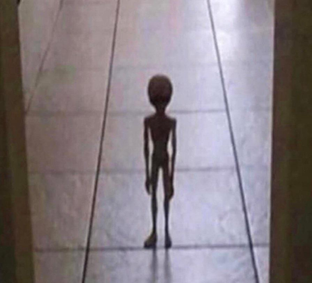 My alien that I snuck out of Area  telling me he threw up