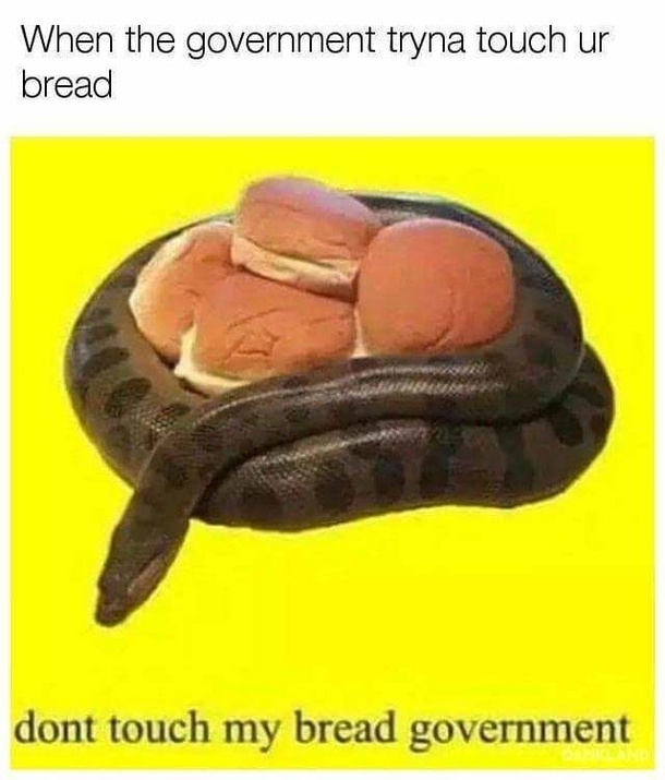 My anaconda wants buns