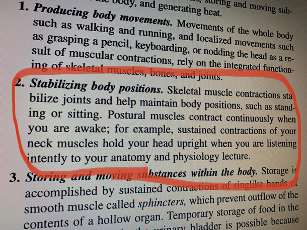 My anatomy and physiology text book is so cheeky