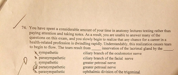 My anatomy test got too real too fast