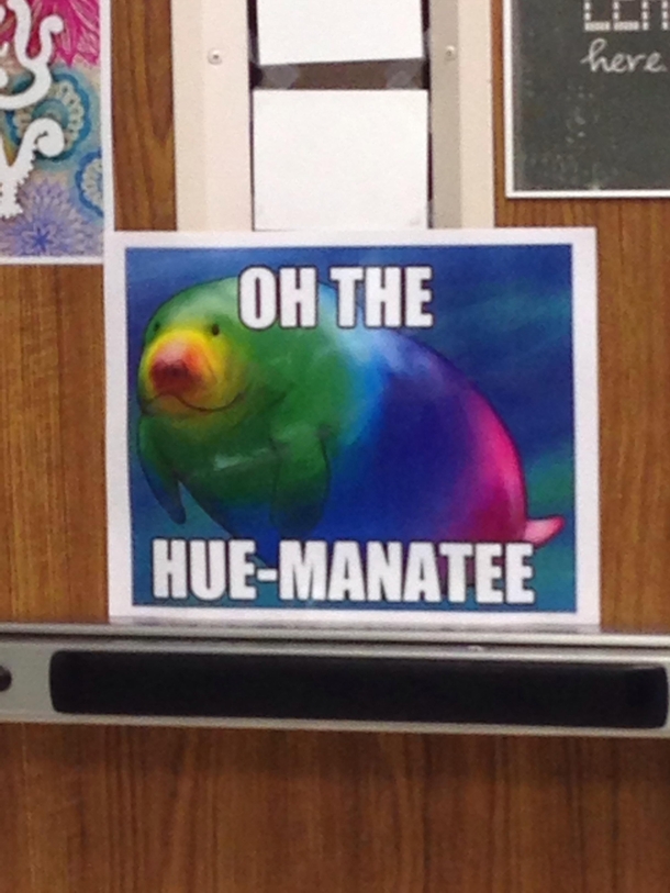My art teacher everyone