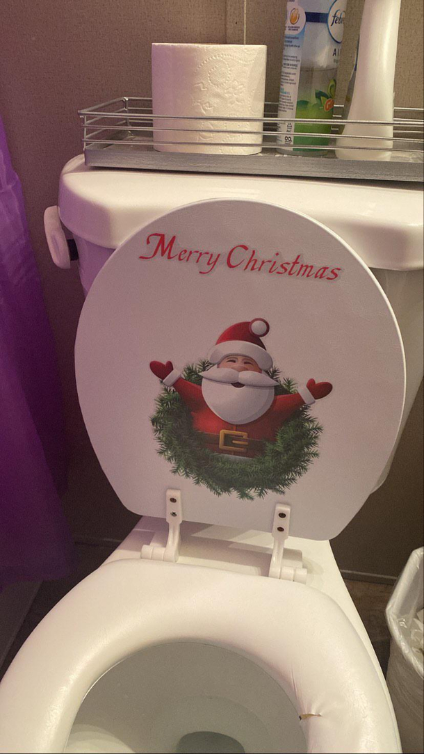 My aunt is really feeling the Christmas spirit this year