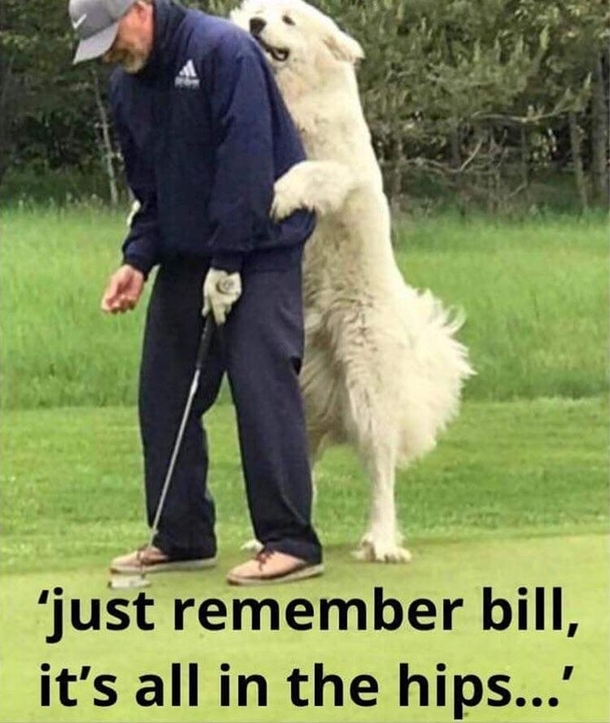 My aunt lives on a golf course Someone took this picture of her dog and sent it to her thought I should post it too