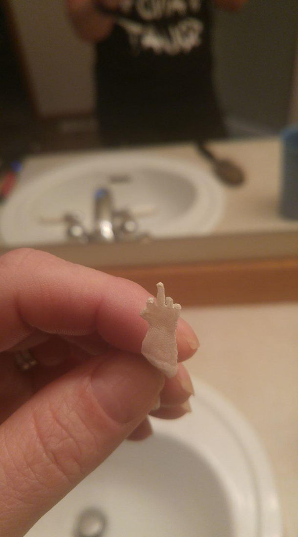 My aunts gecko left her a little present after shedding