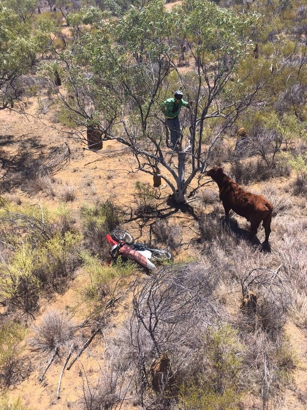 My Aussie mate just sent me this
