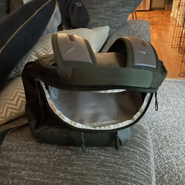 My backpack was excited to see me