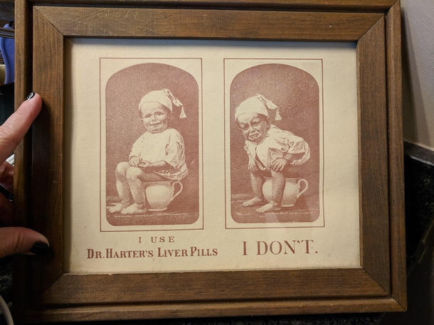 My bathroom art that makes me giggle Dr Harters Liver Pills