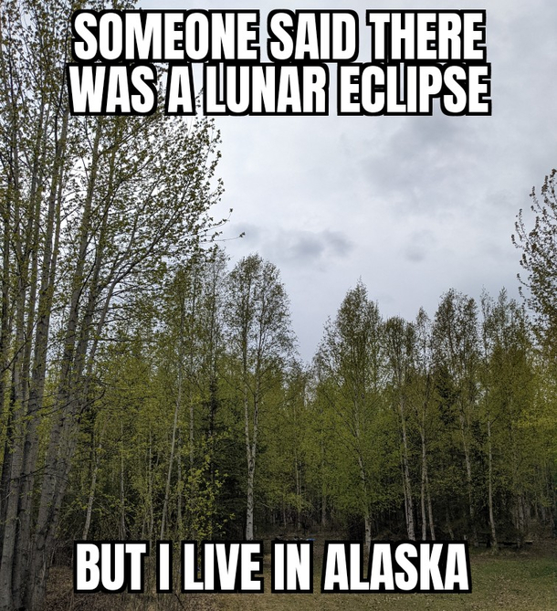 My best pic of tonights lunar eclipse