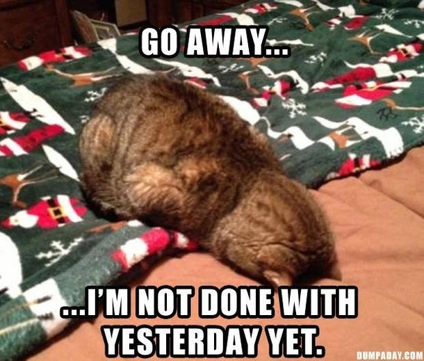 My boss just called to say I have to work today