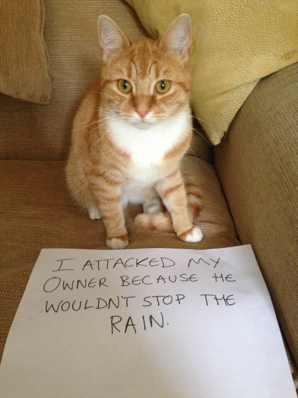 My boyfriend just sent me this picture of his cat Poor Peanut just wanted out