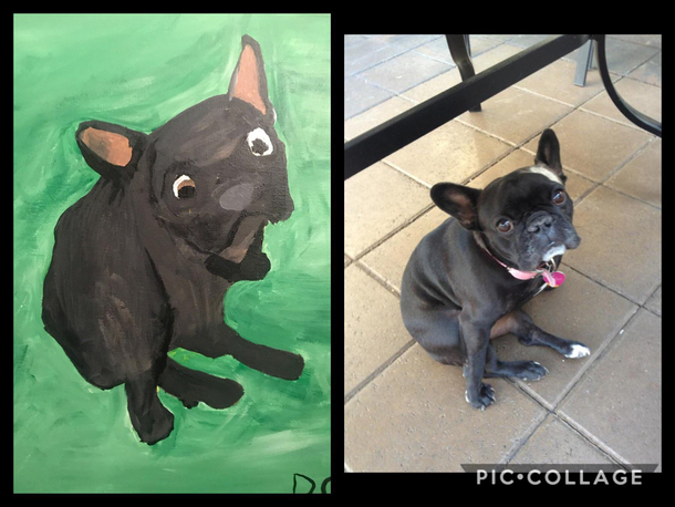 My boyfriend painted our dog
