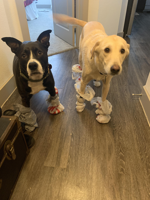 My boys wanted to show off their new snow boots