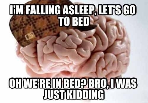 My brain whenever I lie down on my couch and watch TV at night