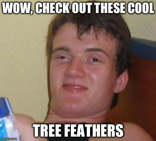 My brother found some colorful leaves