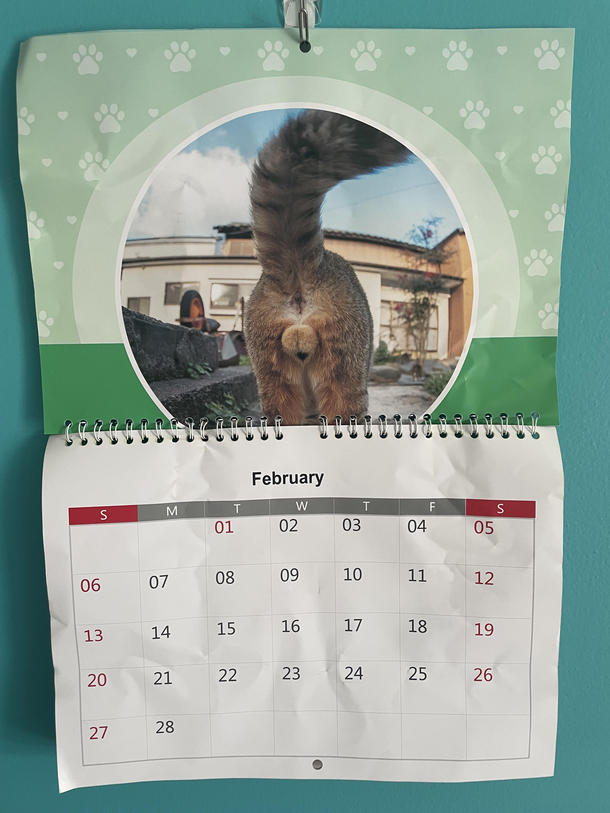 My brother gifted me a new calendar