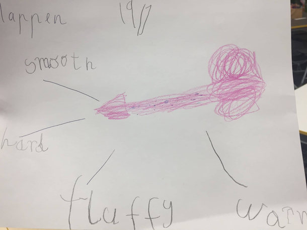 My Brother is a prep teacher in class last week he made his kids draw on object in the room and annotate it with descriptive words One of the kids decided to draw her pen