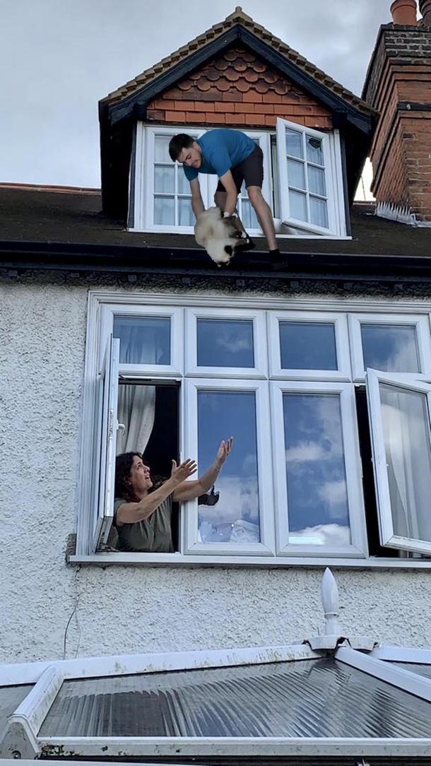 My brother is away for the weekend and asked me to check on his cat I sent him this