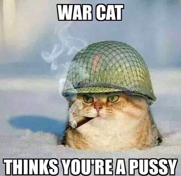 My brother who has probably never used a meme before sent me this