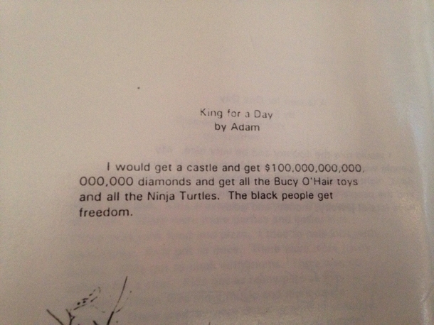 My brothers response to If I were king for a day at  years old 