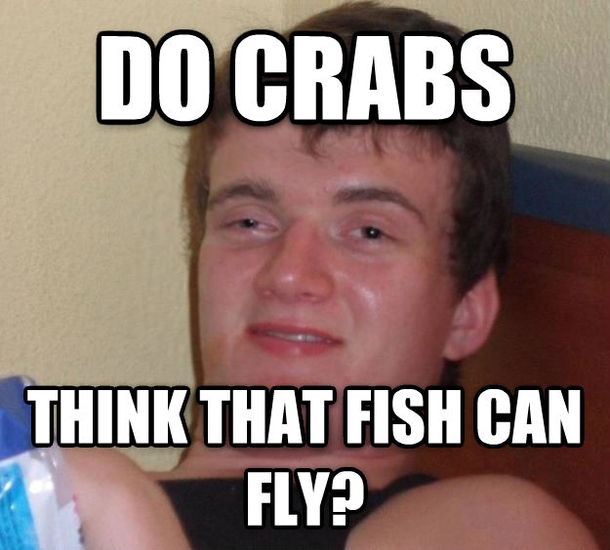 My buddy dropped this one the other night slighlty compelling