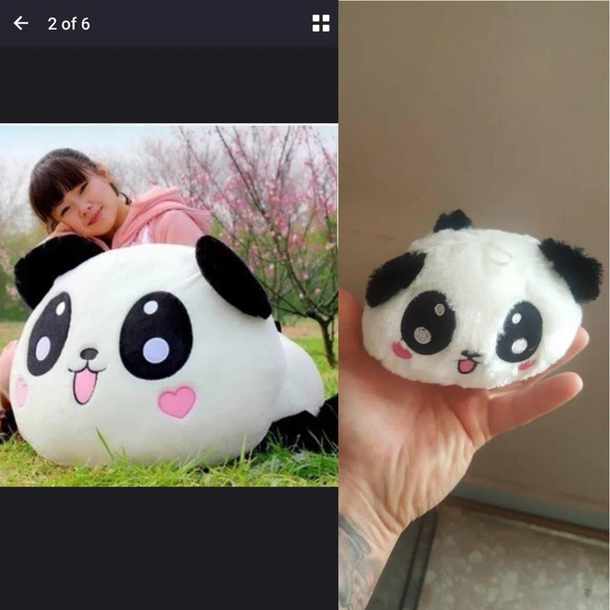 My buddy ordered a this pillow for his daughter