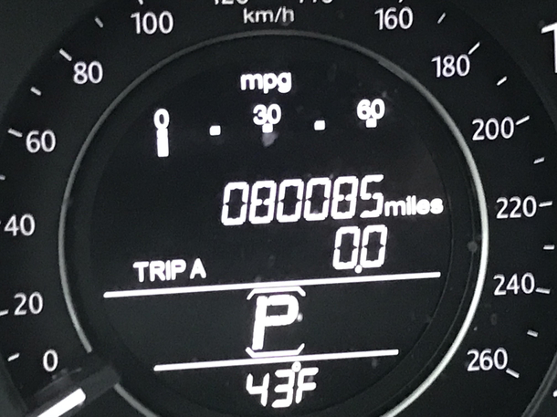 My car thinks its funny