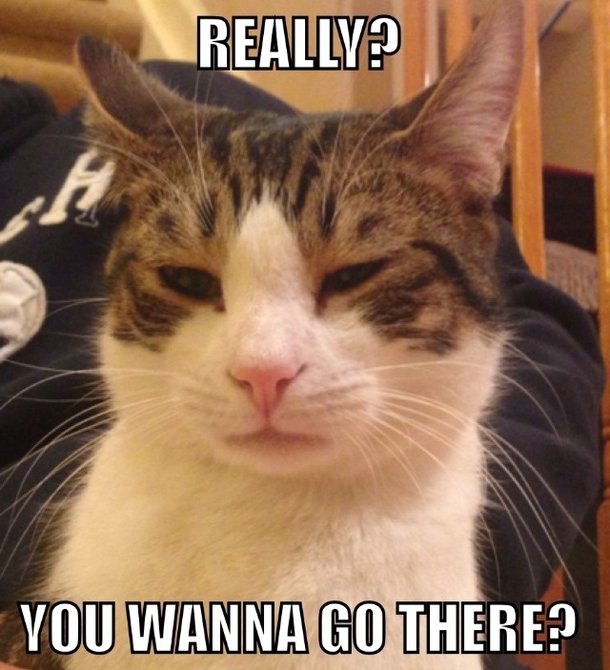 My cat being a cat