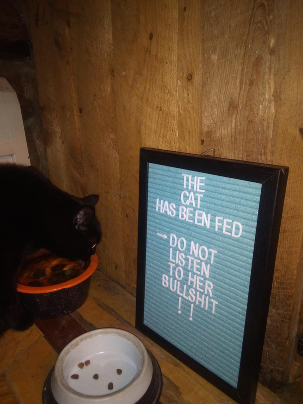 My Cat Constantly Whines To Try And Get More Food So I Made This