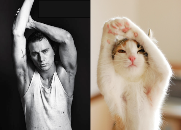 My cat does it better than you