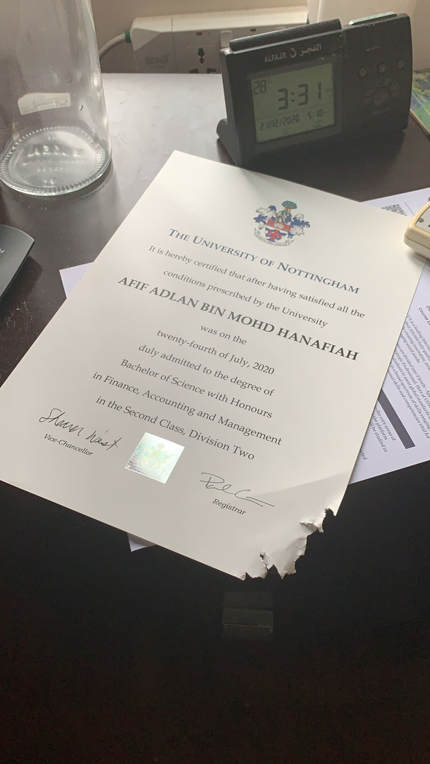 My cat fucking ate my degree