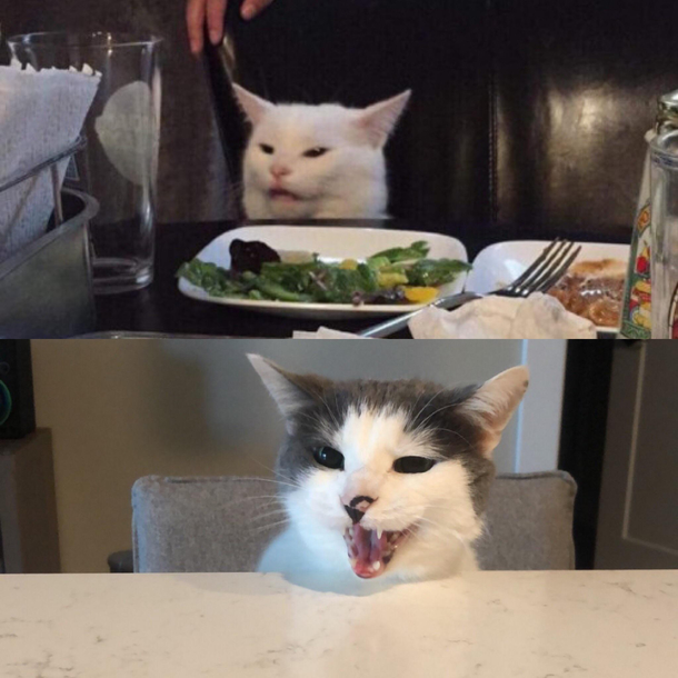 My cat had some things to say about leaving him alone all weekend and this is all I could see