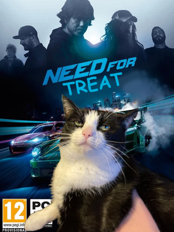 My cat has been on a diet for a week shes not happy