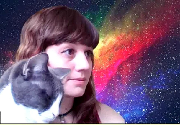My cat interrupted my zoom call resulting in an accidental glamor shot