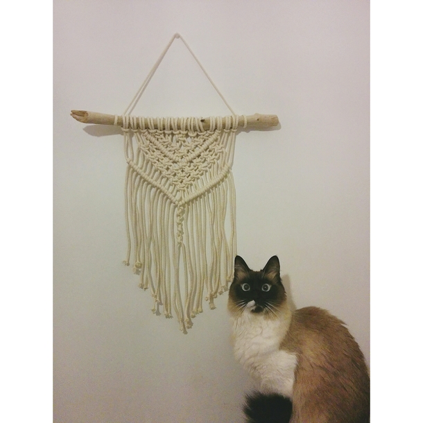 My cat is stunned with my first macrame attempt
