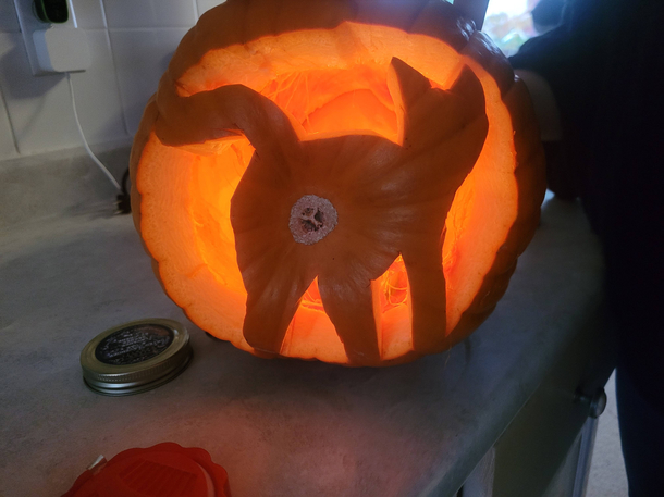 My Cat-O-Lantern this year