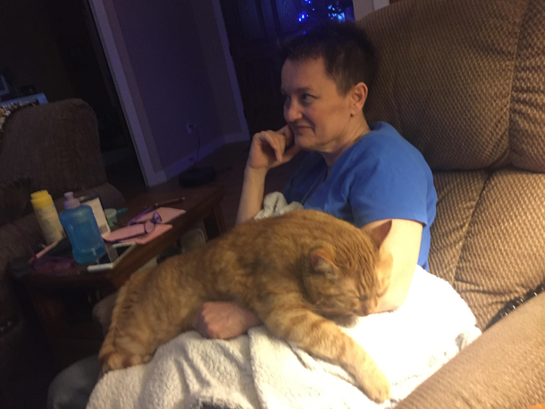 My cat Opie is a growing boy