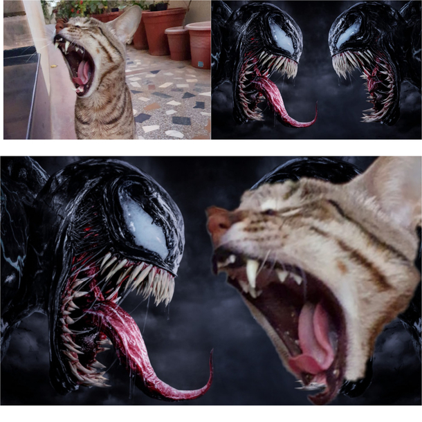 My cat reeks of carnage