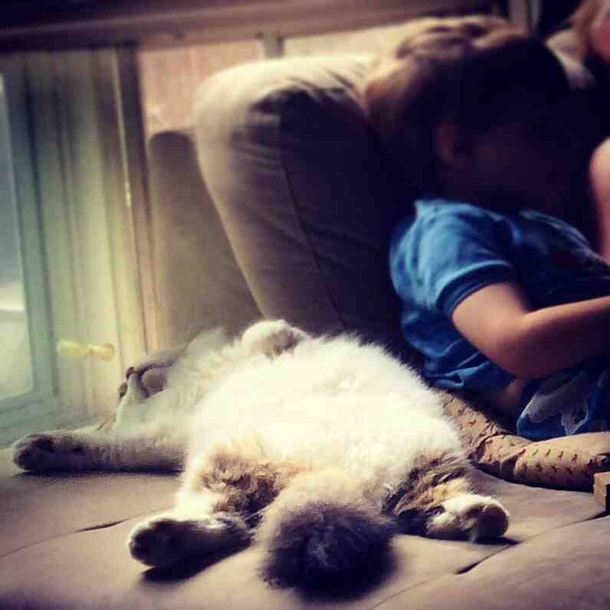 My cat sleeping He was a rescue and were pretty sure he knows how good he has it