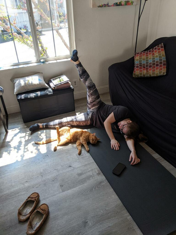 My cat taught me some new poses during yoga today