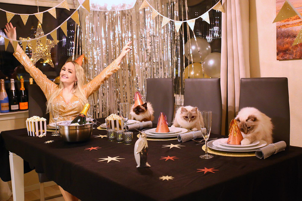 My CATastrophic New Years party