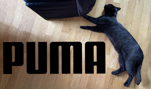 My cats been busy modelling for a new Puma Logo