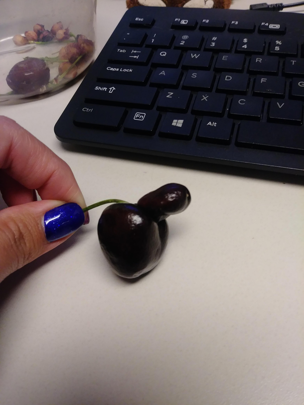 My cherry was very happy to have been picked