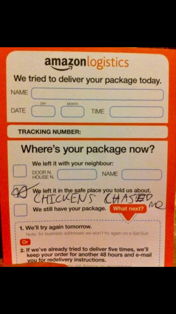 My chickens are assholes