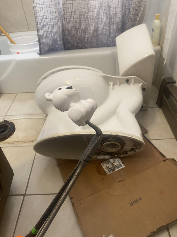 My child would never put a toy down a toilet