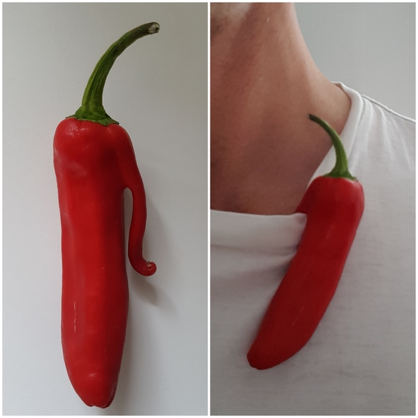 My chilli came with a handy clip so that it can be worn with elegance 