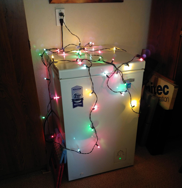 My Christmas treezer