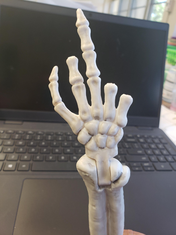 My class skeleton ALMOST made it all year safe from students