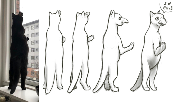 My colleague shared this picture of her cat this is all I could see