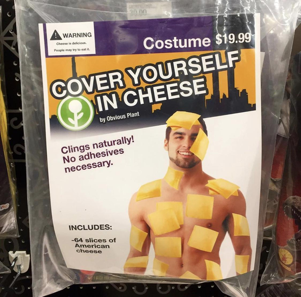 My costume this year is cheesy