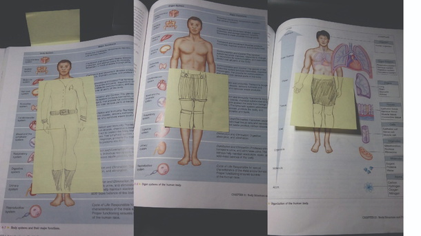 My cousin felt she had to make her naked anatomy images in her book suitable for work when she read them there